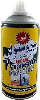 Pyrosol Flying Insect Killer Spray - 300ml