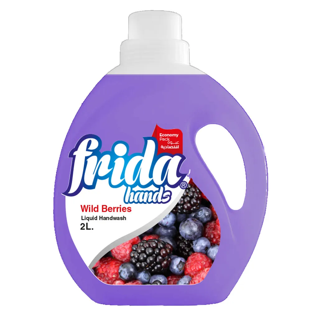 هاند ووش فريدا الاصلي 2 لتر